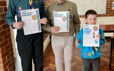 District Chief Scout’s Awards