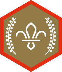 Chief Scout’s Gold Awards
